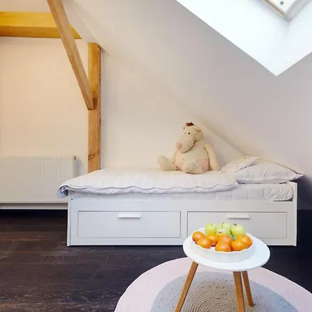 Apartament Heaven - 115 M2 - Kominek Oraz Wanna W Sypialni , Parking アパート カトヴィツェ